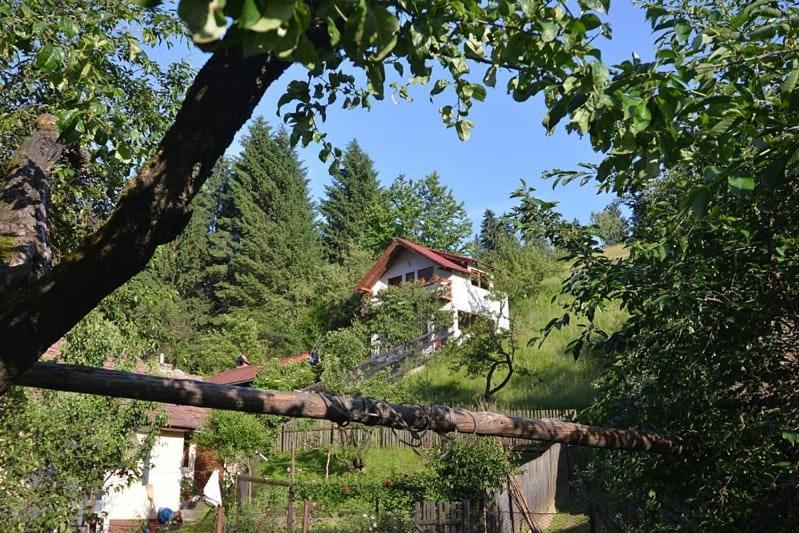 Cabana Vanatorilor Poiana Marului  Ngoại thất bức ảnh